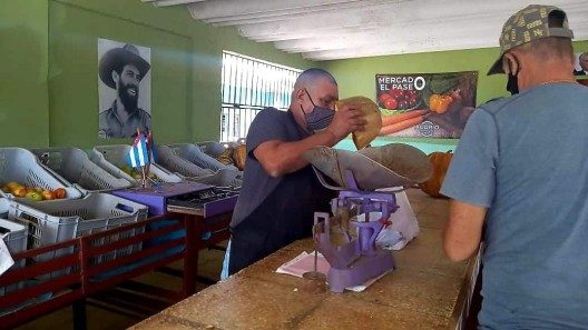 Se ha «incrementado» la producción de alimentos en Cuba, pero no es suficiente asegura Ministra