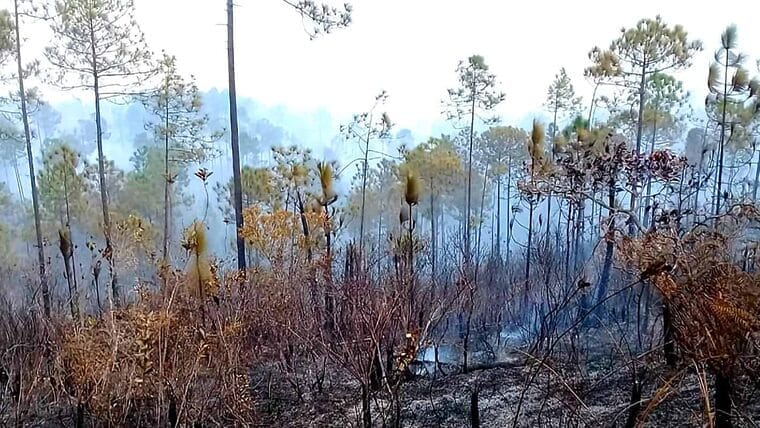 Controlan incendio forestal en Pinar del Río (+Vídeo)