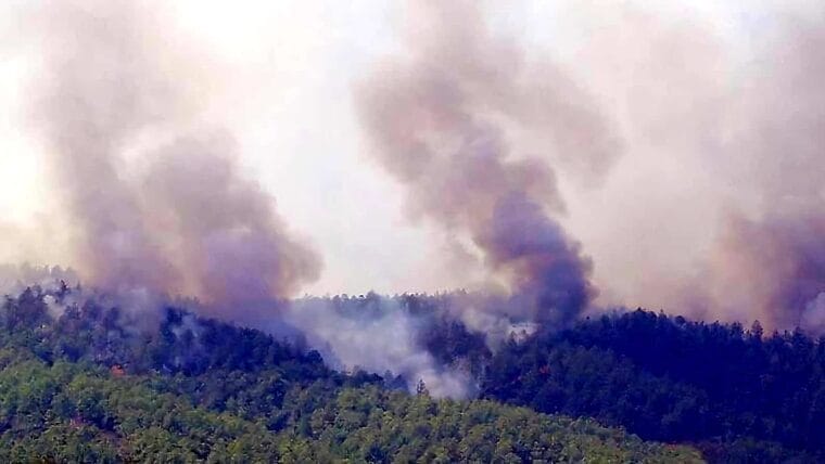 Incendio forestal de grandes proporciones en Pinar del Río