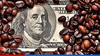 Donan 18 millones de dólares a Cuba para producir café y cacao