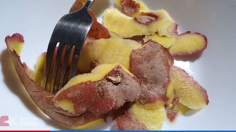Frei Betto invita a los cubanos a comer cáscara de papa, pero ni eso hay
