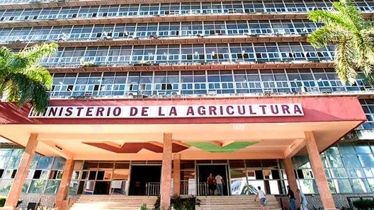 Más de 400 empresas estatales con pérdidas, pero es algo “planificado”, según ministro