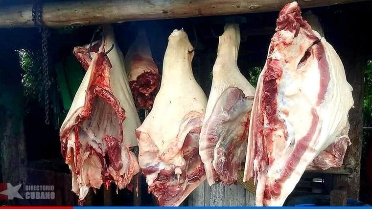 Cada vez menos carne de cerdo y más cara: Cuba pierde el 90% de sus productores porcinos