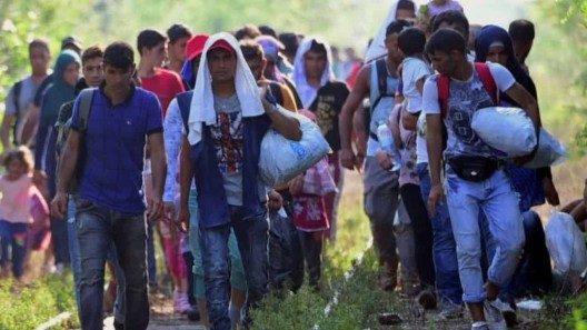 Hallan a más de 900 migrantes cubanos escondidos en México