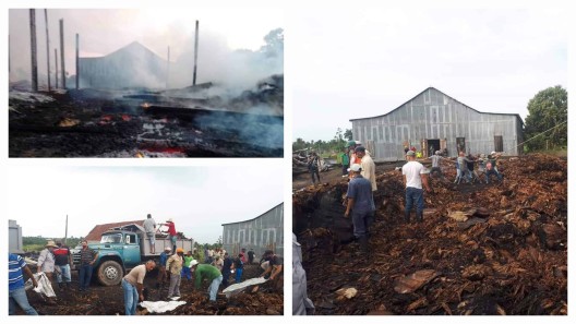 Sofocan incendio en área tabacalera de Pinar del Río