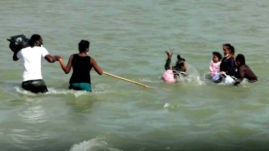 Fotografías captan a enormes cocodrilos en el Río Bravo