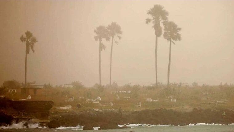 Alerta: Polvo del Sahara cruza el océano y llega a Florida