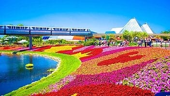Las mejores ciudades de Florida para vacacionar