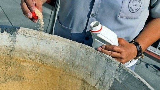 MINSAP reconoce alza en los casos de dengue en Cuba