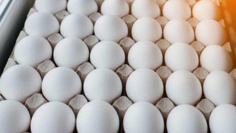¿Qué pasa con los huevos? Más 120 mil cubanos no han recibido su cuota asignada