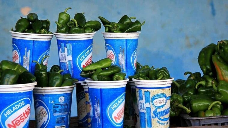 México pagará 150 dólares mensuales a 5 mil campesinos cubanos para apoyar sus labores
