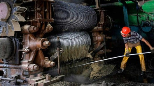 Gobierno cubano buscará producir electricidad con biomasa de los centrales azucareros