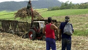 Cuba busca inversores extranjeros para salvar la industria azucarera