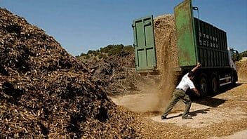 Bioeléctrica en Ciego de Ávila se sincroniza al Sistema Eléctrico Nacional, pero solo tiene materia prima para un mes