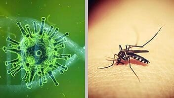 aumentan casos de covid y dengue en Cuba
