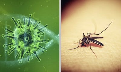 aumentan casos de C0VID y dengue en Cuba