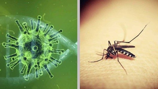 Aumentan los casos de covid y dengue en Cuba: información del MINSAP