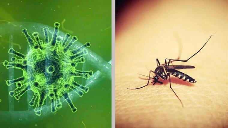 aumentan casos de covid y dengue en Cuba
