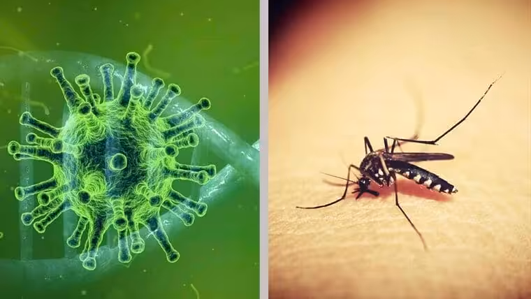 aumentan casos de covid y dengue en Cuba