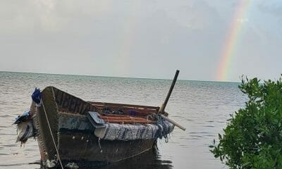 Imagen impactante: tocan tierra 14 balseros cubanos en Cayos de Florida