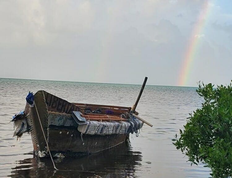 Imagen impactante: tocan tierra 14 balseros cubanos en Cayos de Florida