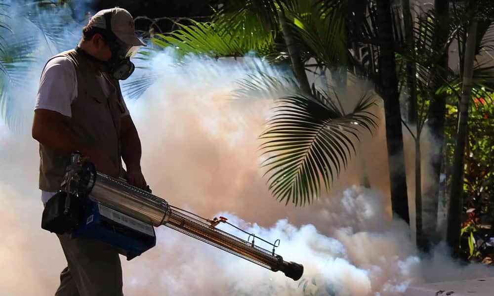 Cuba: transmisión de dengue en 12 provincias