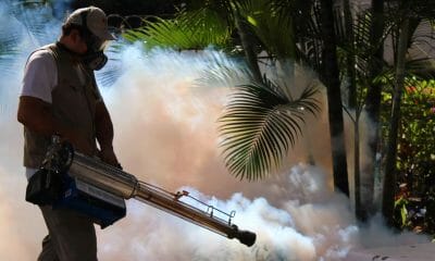 Cuba: transmisión de dengue en 12 provincias