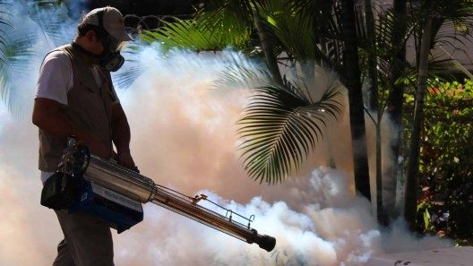Recomendaciones de una doctora cubana ante epidemia de dengue