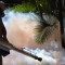 Minsap alerta sobre posible epidemia de dengue en Cuba: circulan los cuatro serotipos y Matanzas confirma dos casos