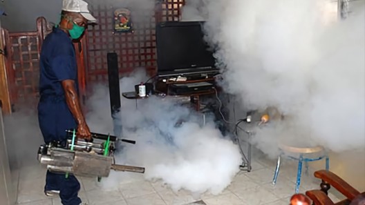 Falta de combustible imposibilita fumigar contra el dengue en Cuba