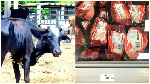 La venta de carne de res en Cuba está “trabada”, según reconoce el gobierno
