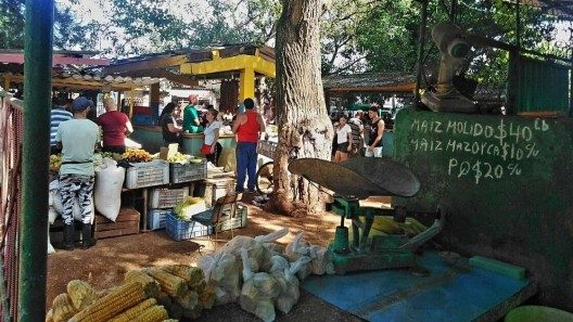 Agromercado en La Habana: «los precios no son atractivos, pero así anda la vida»