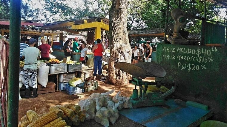 Agromercado en La Habana: «los precios no son atractivos, pero así anda la vida»