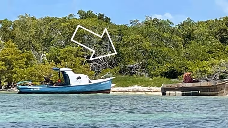 Detienen a 42 migrantes cubanos en la Florida, entre ellos 10 menores de edad