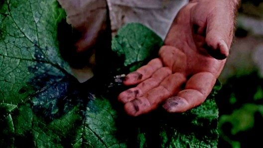 Lluvia de cenizas cae sobre el Valle de Yumurí en Matanzas