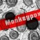 Viruela del mono en Estados Unidos: gobierno declara emergencia de salud pública