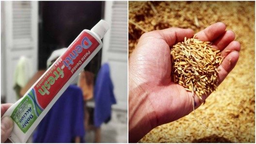 Pasta de dientes a partir de la cáscara de arroz: el proyecto que investiga Suchel
