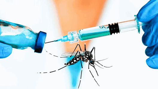 Dengue en Cuba: MINSAP considera que el “riesgo de enfermar es alto”