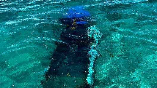 Guardia Costera informa sobre muerte de un balsero cubano y nuevas repatriaciones
