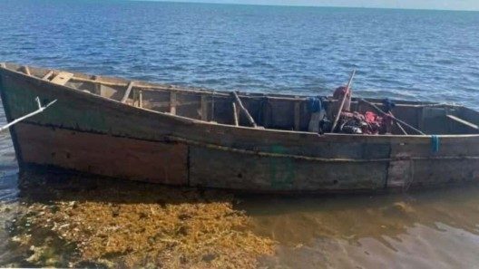 Patrulla Fronteriza de los Estados Unidos detiene a 17 balseros cubanos en un cayo de la Florida