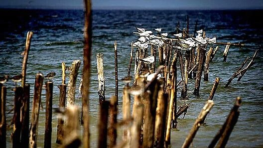 Rescatan a 26 cubanos a bordo de una embarcación “abandonada por traficantes”