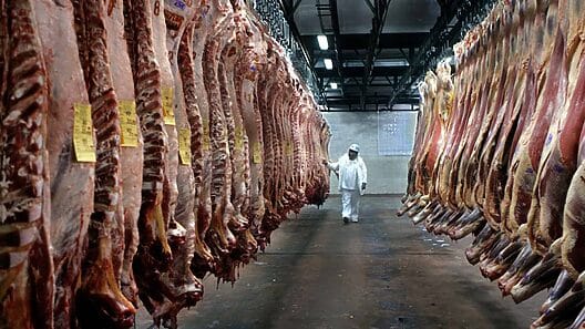Cuba quiere comprar carne a la Argentina y envía sus inspectores sanitarios