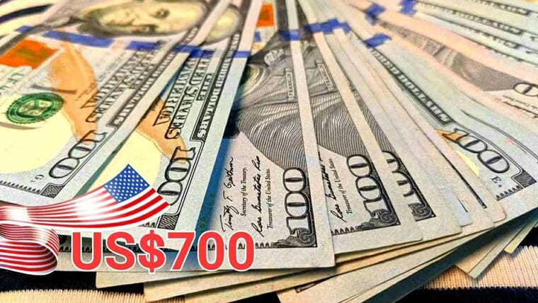 Si no has recibido el reembolso de 700 dólares en Estados Unidos sigue estos pasos