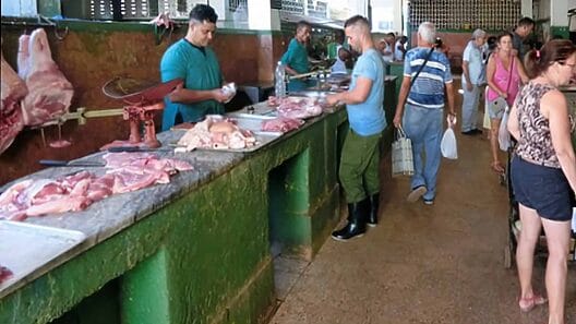 Altos precios en Cuba. Prensa oficial cuestiona la inflación indetenible
