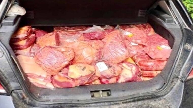 Detienen a tres camioneros en Miami por robar grandes cantidades de carne