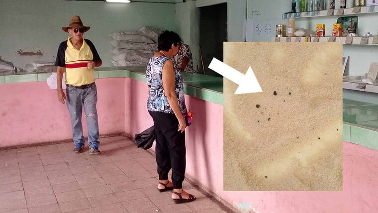 Retiran el azúcar en varias bodegas cubanas luego de descubrir “materias extrañas”