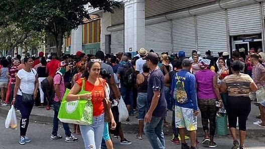 Eliminan grupos de lucha contra coleros y diseñan nueva modalidad de venta