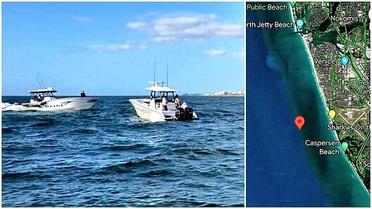Avioneta cae al mar en Florida: encuentran a menor fallecida