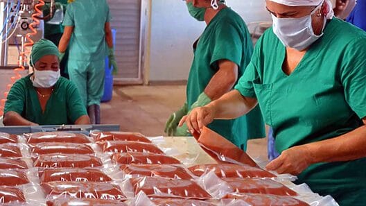 Mipymes de Cuba triplicaron sus ventas en primer semestre de este año, según ONEI