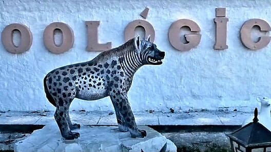 Animales del zoológico de Sancti Spíritus sufren escasez de agua. Sin solución a corto plazo